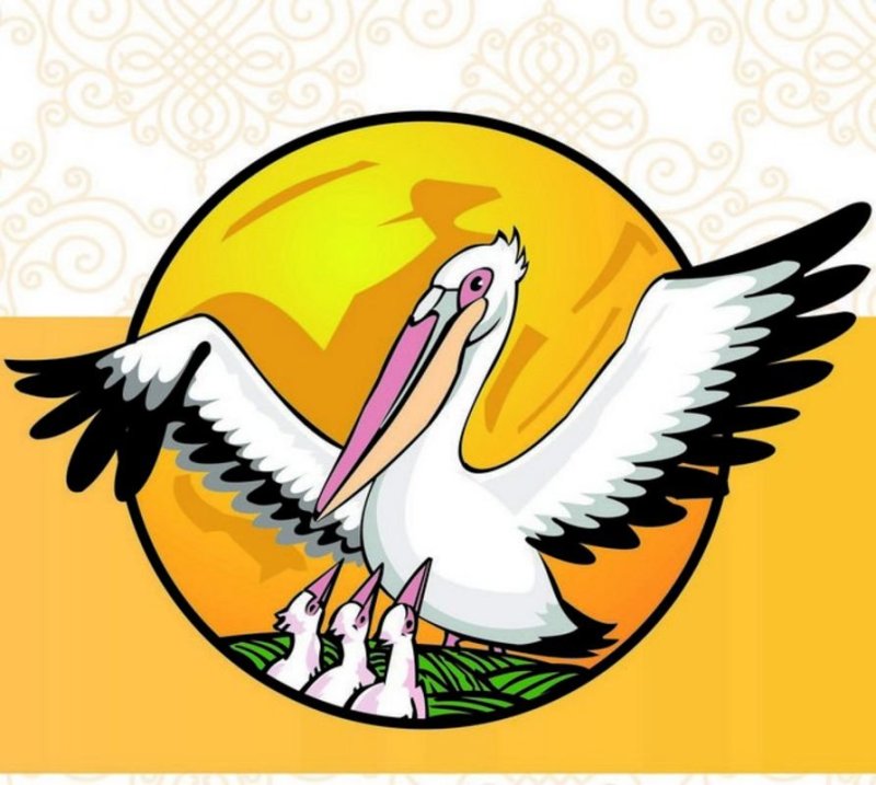 Пеликан конкурс учитель года