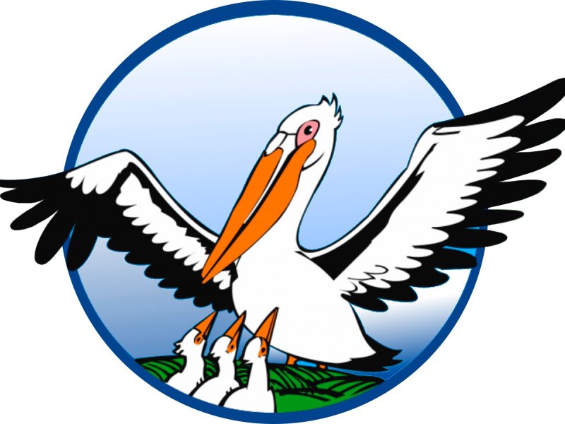 Пеликан учитель года эмблема