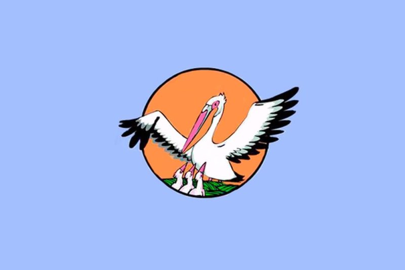 Пеликан учитель года эмблема