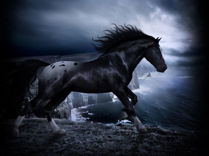 Красивые лошади