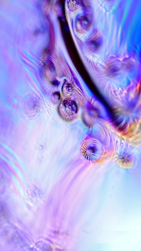 Фотообои для телефона вертикальные