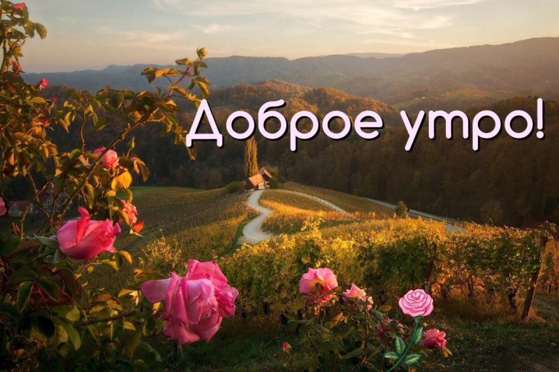 Доброе утро, мир