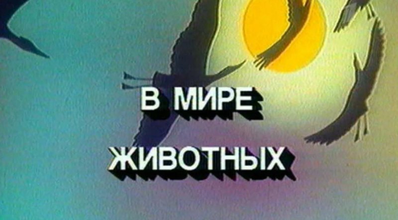 В мире животных телепередача