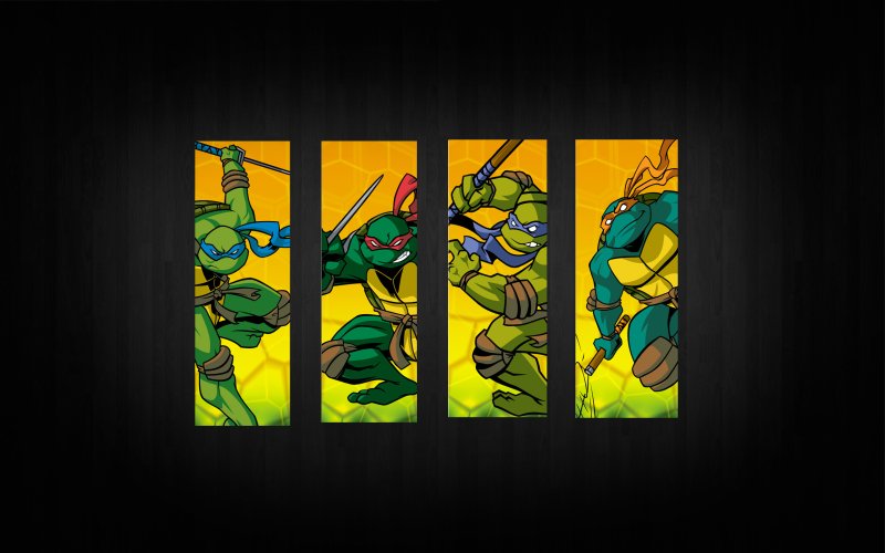 Черепашки ниндзя 2003