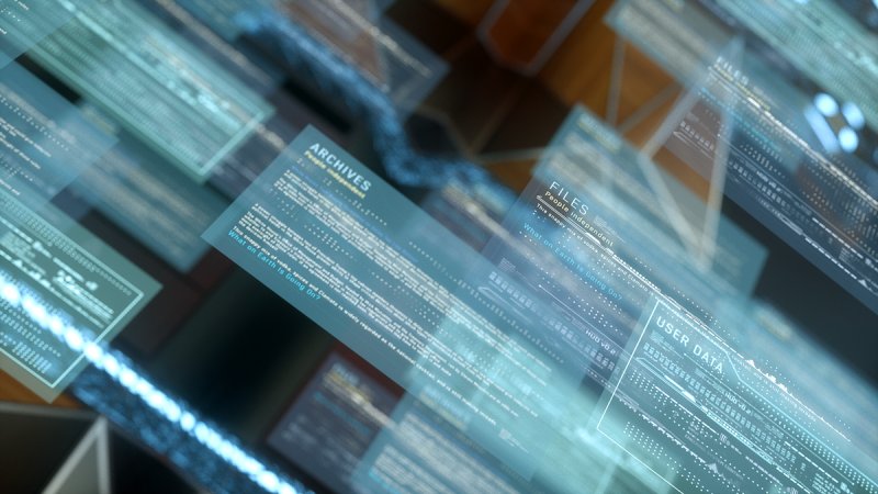 Программа человек и закон