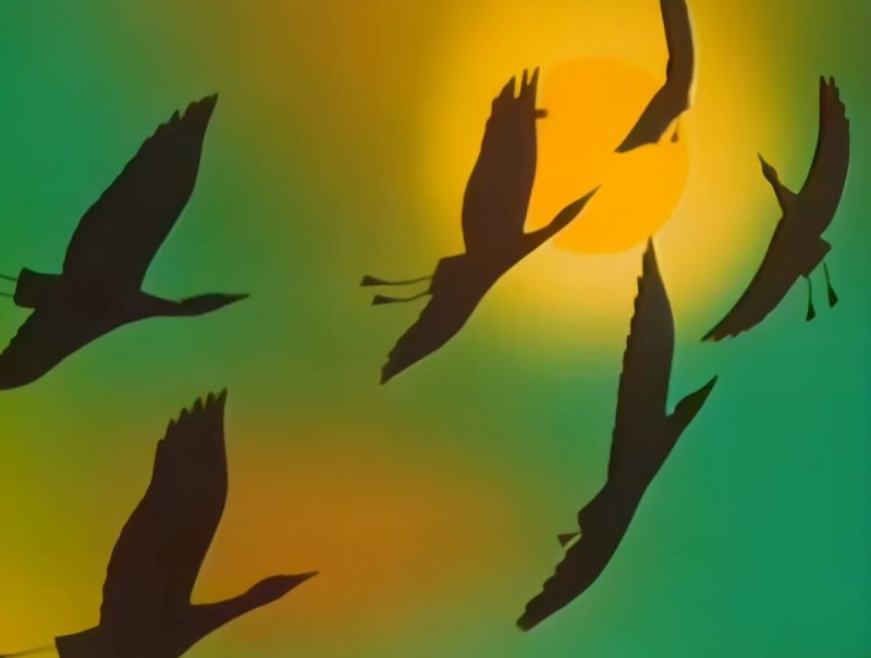 В мире животных передача