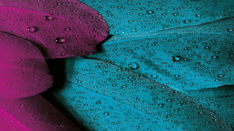 Бирюзовый фон на рабочий стол