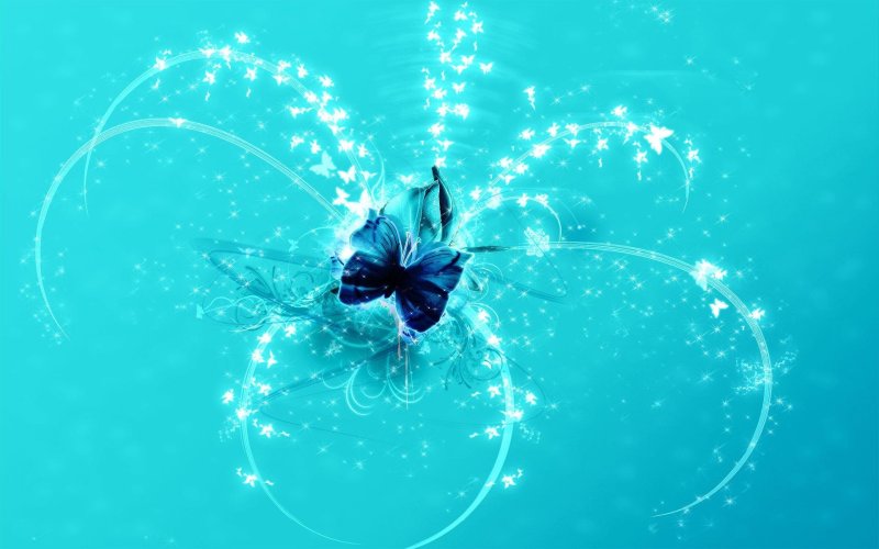 Картинки на рабочий стол бабочки