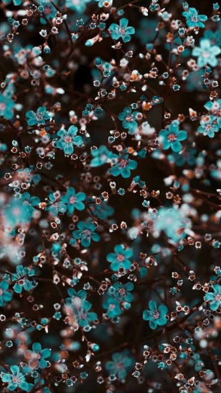 Красивый фон на телефон