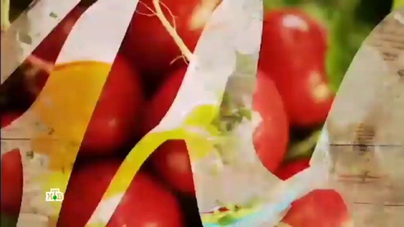 Едим дома НТВ заставка