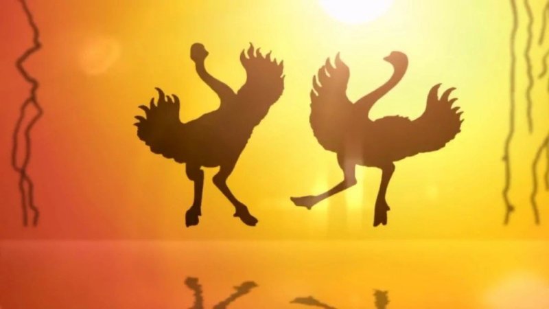 В мире животных телепередача заставка