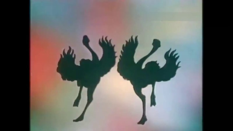 Заставка передачи в мире животных