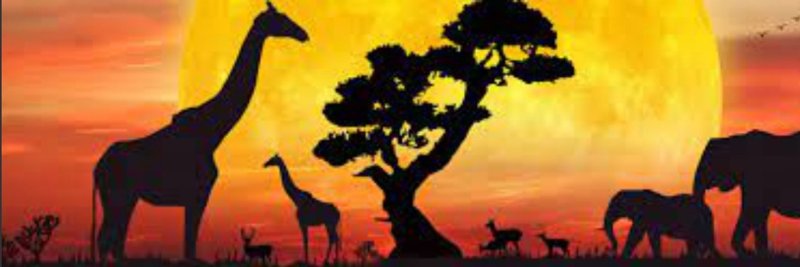 В мире животных заставка