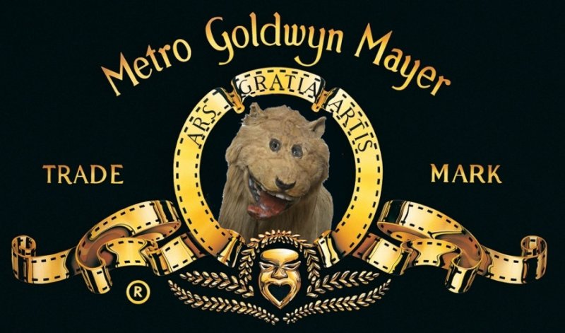 Логотип киностудии Metro-Goldwyn-Mayer