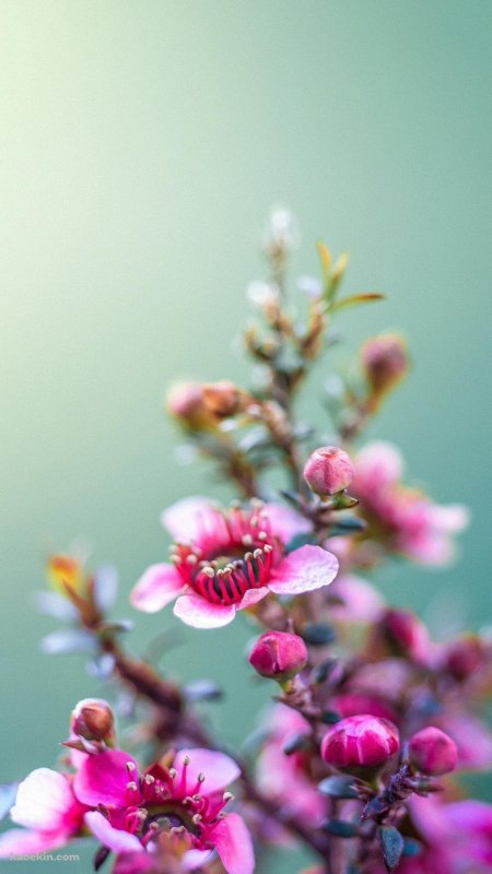 Красивый фон на телефон