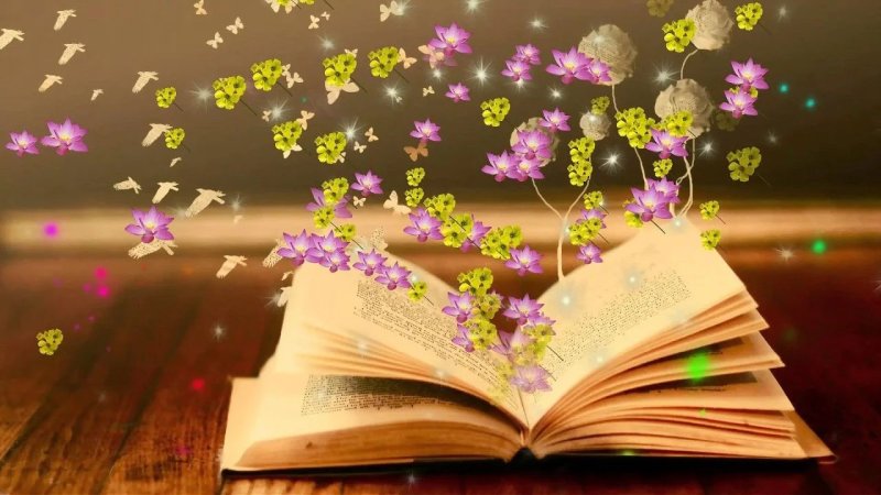 "читаем книги"