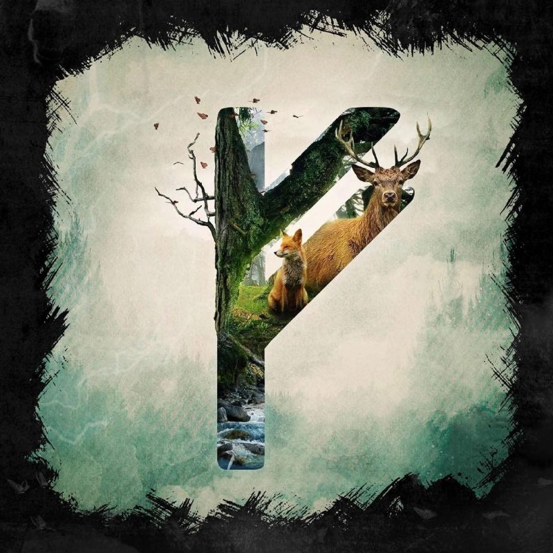 Руна Феу (Феху)