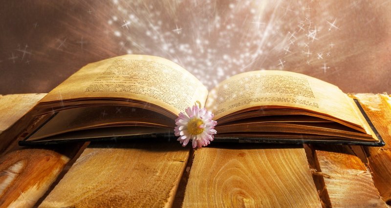 "фон раскрытая книга"