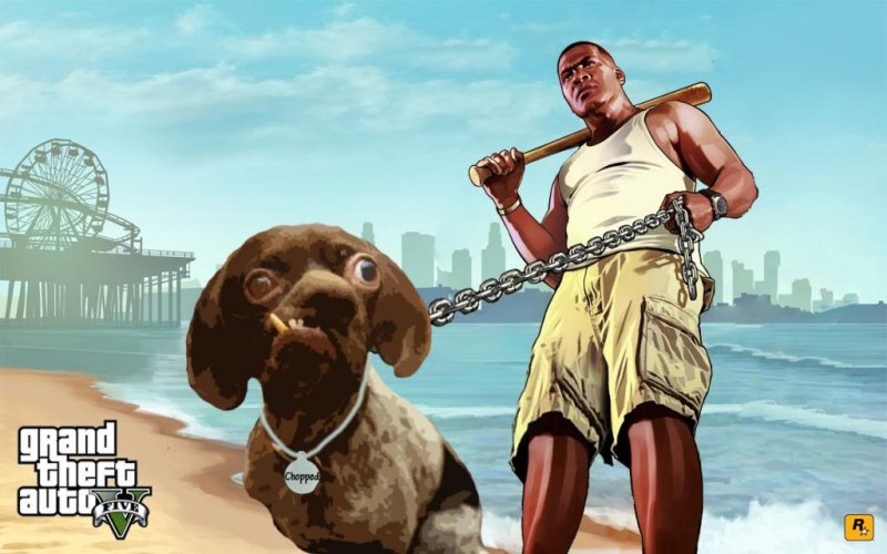 ГТА 5 пес Франклина