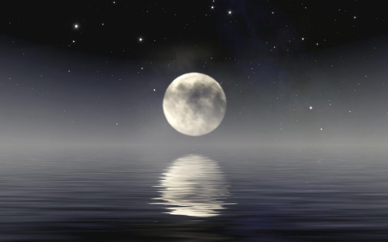 Лунная ночь
