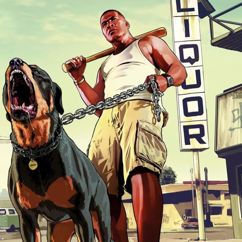 Мем с Франклином ГТА 5 И собакой