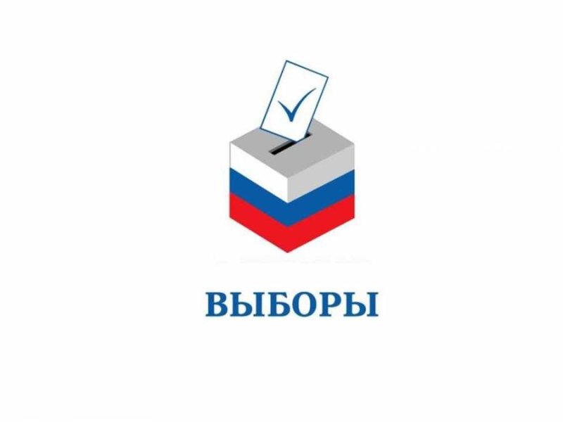 Выборы логотип