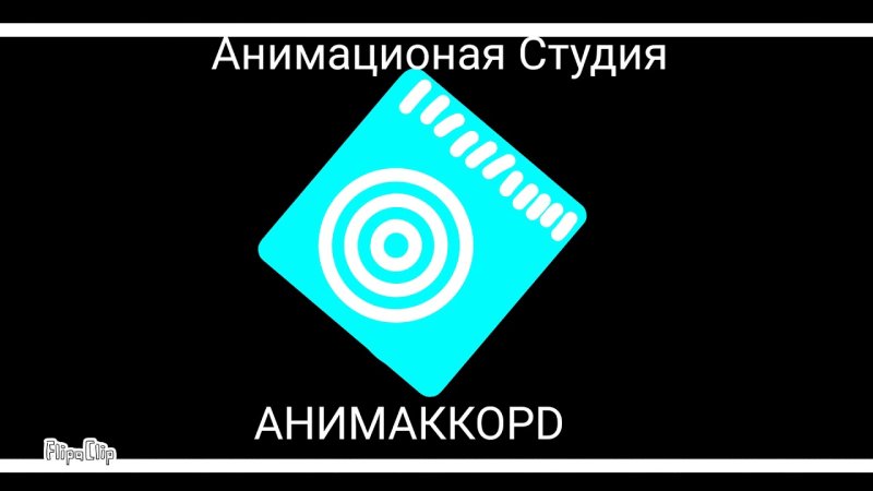 Студия Анимаккорд