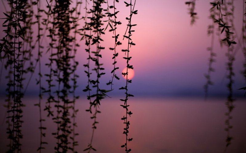 Эстетика природы