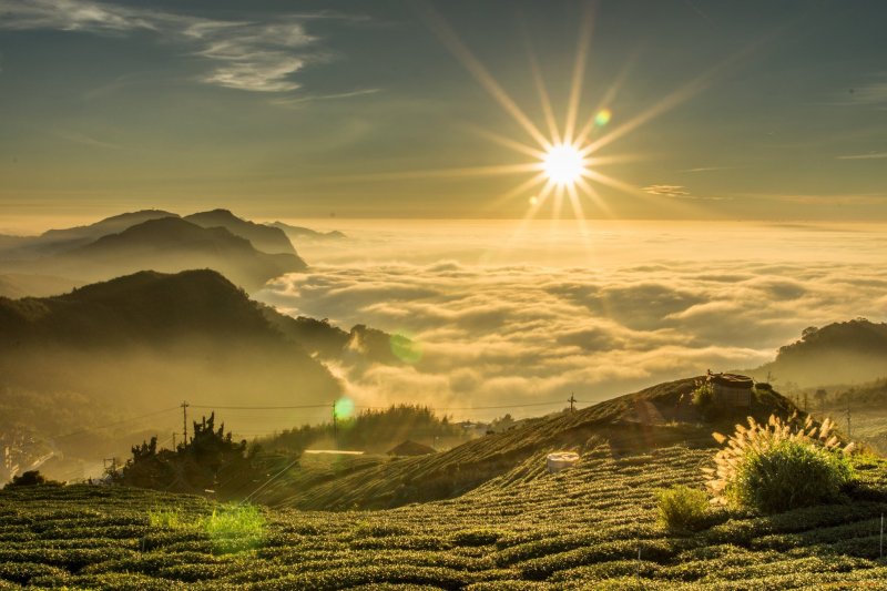 На Восходе солнца