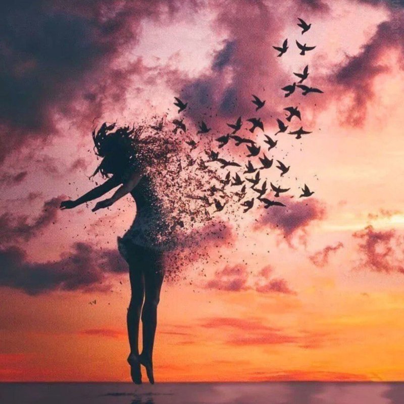 Девушка птица