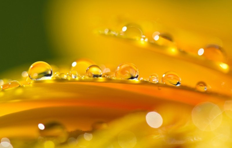 Желтые обои