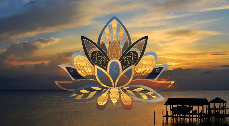 Цветок лотоса Индия