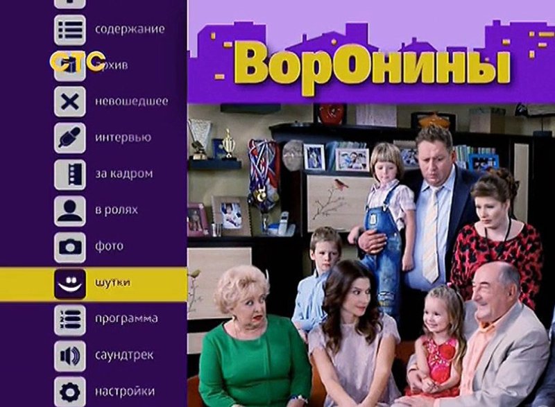 Воронины сериал 2009–2019