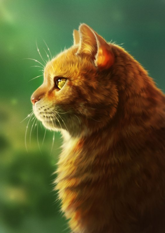 Коты Воители рыжий кот