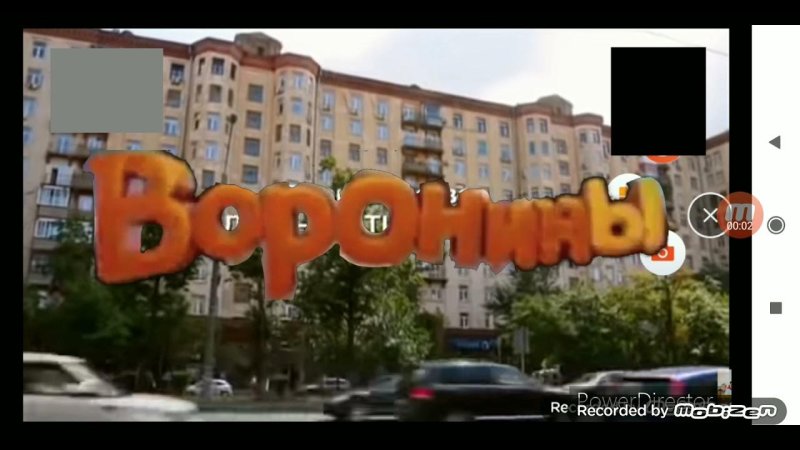 Воронины заставка