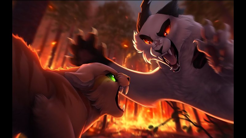 Коты Воители