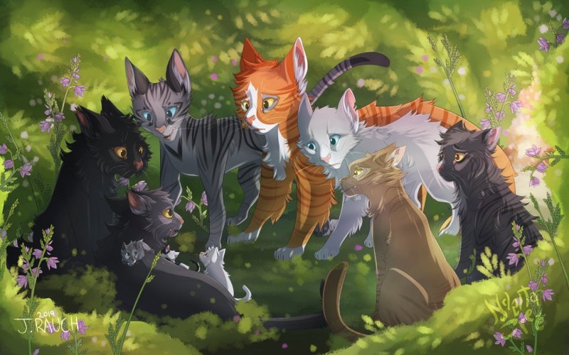 Коты Воители Warriors