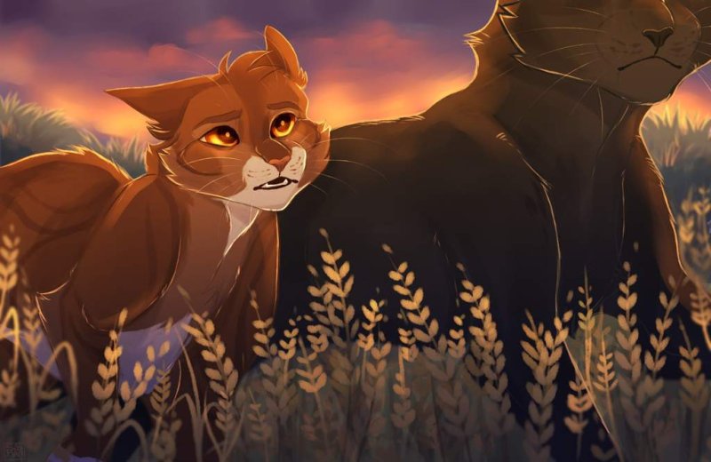 Коты Воители Листвичка