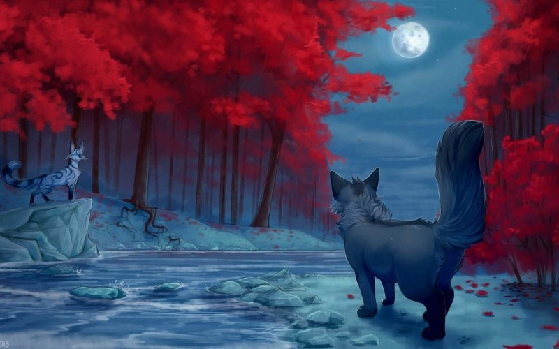 Коты Воители лиса