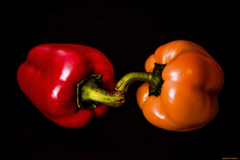 Болгарский перец