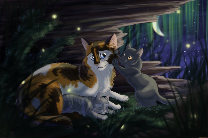 Вересковая звезда коты Воители