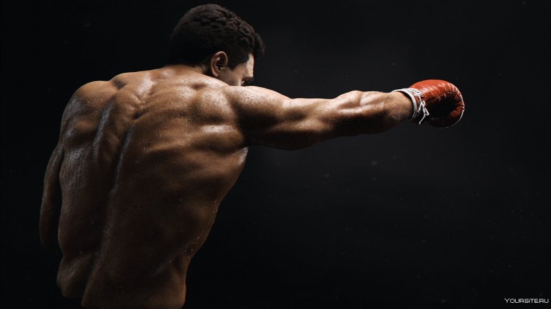 Мухаммед Али боксер