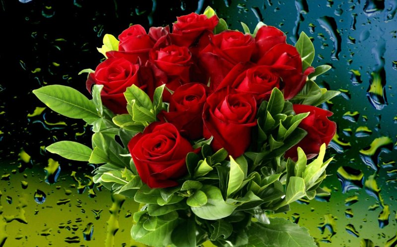 Красивый букет роз