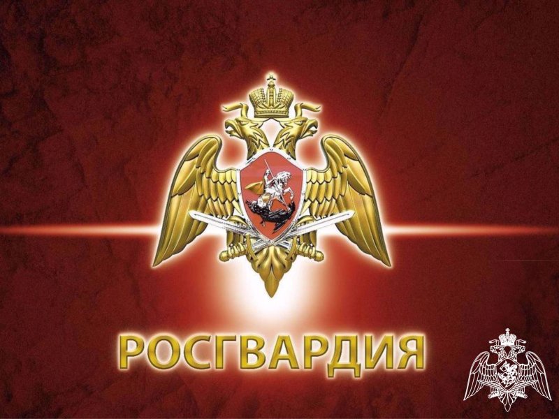 Вневедомственная охрана ВНГ РФ