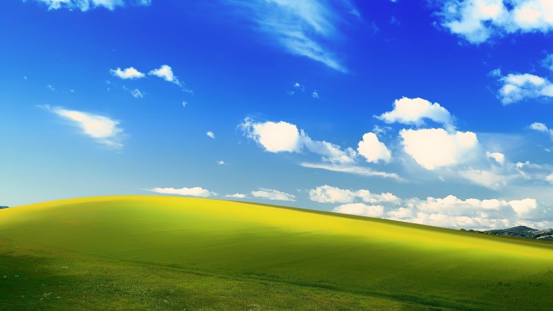 Поле Windows XP