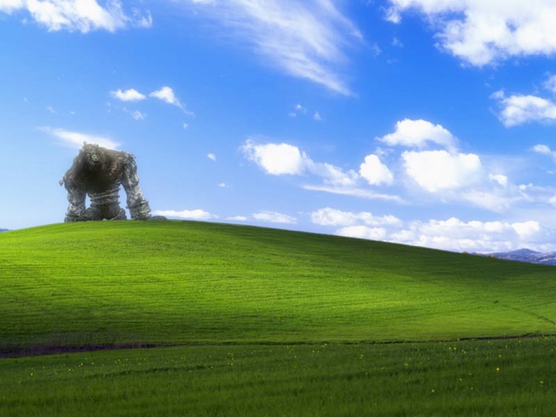 Поле Windows XP