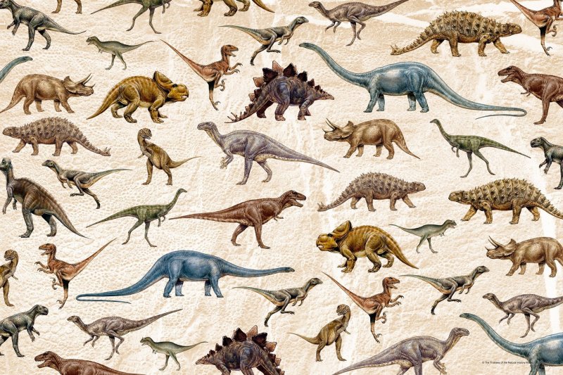 Много динозавров