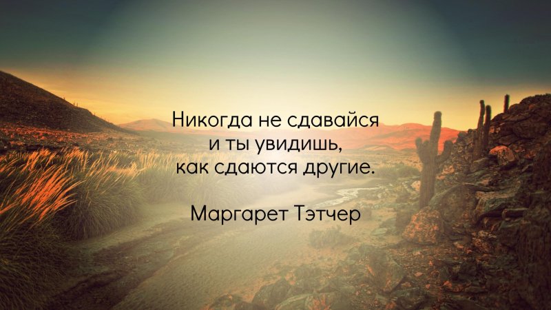 Цитаты на красивом фоне