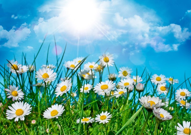 Красочное лето