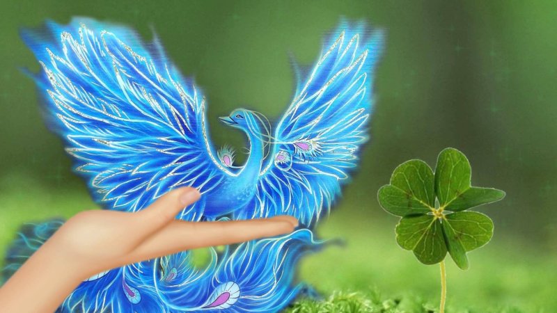 "Синяя птица в Бонневилле" Мирошников Василий